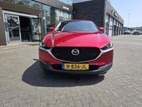 Afbeelding 3