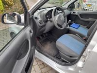 tweedehands Fiat Panda 1.2 Active