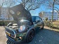Occasion Mini Cooper Salt 136 PK (100 kW) 2017 Groen Hatchback