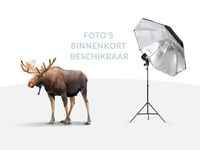 Occasion BMW iX1 M Sport 2025 SUV