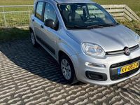 Occasion Fiat Panda 59 PK (43 kW) 2016 Hatchback