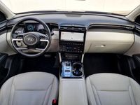 tweedehands Hyundai Tucson 1.6 T-GDI HEV Premium Sky Automaat / Elektrisch Sc