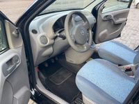 tweedehands Fiat Panda 1.1 Young