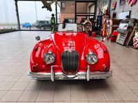 Occasion Jaguar XK 265 PK (194 kW) 1958 Rood Cabriolet