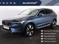 Occasion Volvo XC60 Plus 349 PK (256 kW) 2025 Blauw SUV