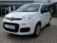 Nieuw Fiat Panda 69 PK (50 kW) 2025 Wit Hatchback