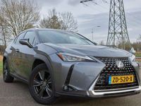 tweedehands Lexus UX 250h 250h Luxury Line