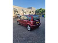 tweedehands VW Fox 1.2-12V/ Fiat Panda 1.1 Active Plus (LEES)