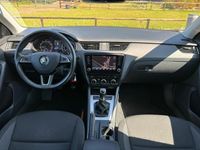 tweedehands Skoda Octavia Combi 1.0 TSI Greentech Ambition Business