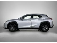 Occasion Lexus UX 184 PK (135 kW) 2024 Grijs SUV