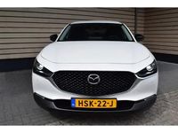 Afbeelding 3