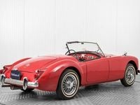 Occasion MG 1600 1961 Rood