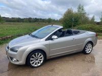 tweedehands Ford Focus Cabriolet 