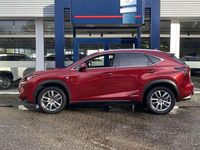 Occasion Lexus NX300h 197 PK (144 kW) 2015 Rood SUV