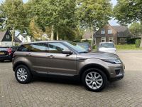 tweedehands Land Rover Range Rover evoque 2.0 TD4 SE Automaat Navi Panodak