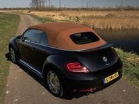 Occasion VW Beetle Cabriolet Karmann 220 PK (161 kW) 2018 Zwart Cabriolet