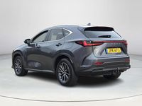 Occasion Lexus NX450h+ Luxury Line 309 PK (227 kW) 2025 Grijs SUV