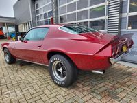 tweedehands Chevrolet Camaro SS Sharknose - ONLINE AUCTION