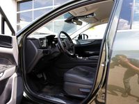 Occasion Lexus NX350h 242 PK (177 kW) 2023 Groen SUV