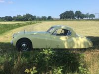 Occasion Jaguar XK 1952 Geel Coupé