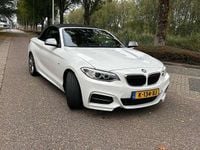 Afbeelding 3