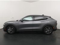 Occasion Ford Mustang 286 PK (210 kW) 2021 Grijs SUV