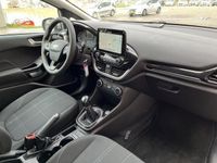 tweedehands Ford Fiesta 1.1 Trend | Media Display | Cruise Contro | Airco | LM Velgen | Staat in Hardenberg