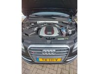 tweedehands Audi SQ5 Q5 3.0 TDI V6quattro Pro Line Schuif/kantel Panorama-dak