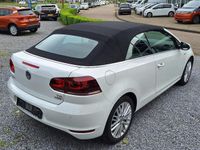 tweedehands VW Golf Cabriolet 1.2 TSI 105pk Cup (Clima,Pdc,Cruise,LM)