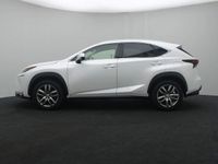 tweedehands Lexus NX300h AWD Business Line Pro | Zwart Leder Interieur | Na