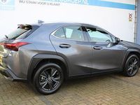 Occasion Lexus UX 250h 184 PK (135 kW) 2024 Grijs (metallic) SUV