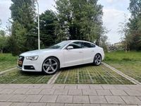 Afbeelding 3