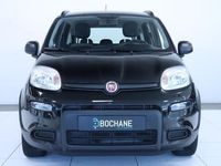 tweedehands Fiat Panda 1.0 Hybrid City Life | Airco | 5-zitplaatsen | Rad