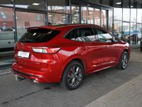 Occasion Ford Kuga ST-Line X 2026 Rood SUV