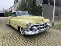 Afbeelding 3