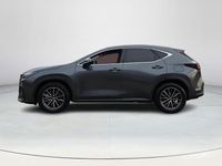 Occasion Lexus NX450h+ Luxury Line 309 PK (227 kW) 2025 Grijs SUV