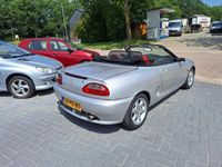 Afbeelding 3