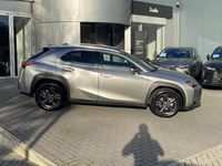 Occasion Lexus UX 184 PK (135 kW) 2023 Grijs SUV