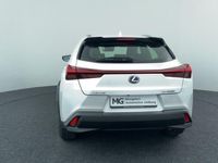 tweedehands Lexus UX 250h Luxury Line