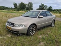 Afbeelding 3