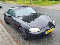 Afbeelding 1
