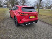 Occasion Lexus NX450h+ Sport Line 306 PK (225 kW) 2022 SUV