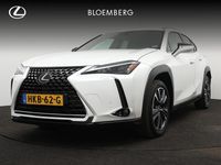 Occasion Lexus UX Business Edition 184 PK (135 kW) 2024 Wit, metallic lak SUV