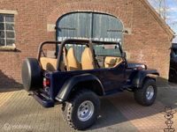 tweedehands Jeep Wrangler TJ suv