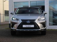 Occasion Lexus NX300h President Line 2021 Grijs (metallic) SUV
