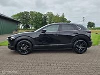 Afbeelding 2