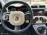 tweedehands Fiat Panda 0.9 TwinAir Lounge ECC Bl.tooth LMV PDC Privacy gl