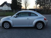 tweedehands VW Beetle (NEW) Design