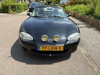 Afbeelding 2