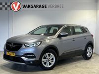 Occasion Opel Grandland X Business Elegance 131 PK (96 kW) 2021 Grijs SUV